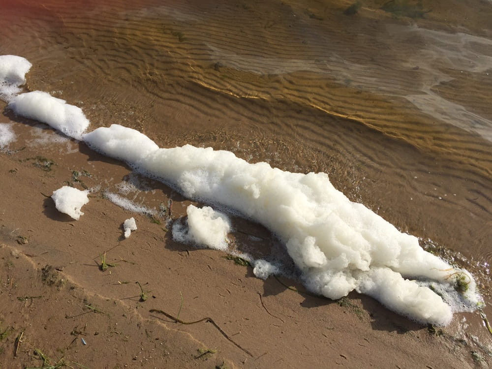 White foam on a lake shore