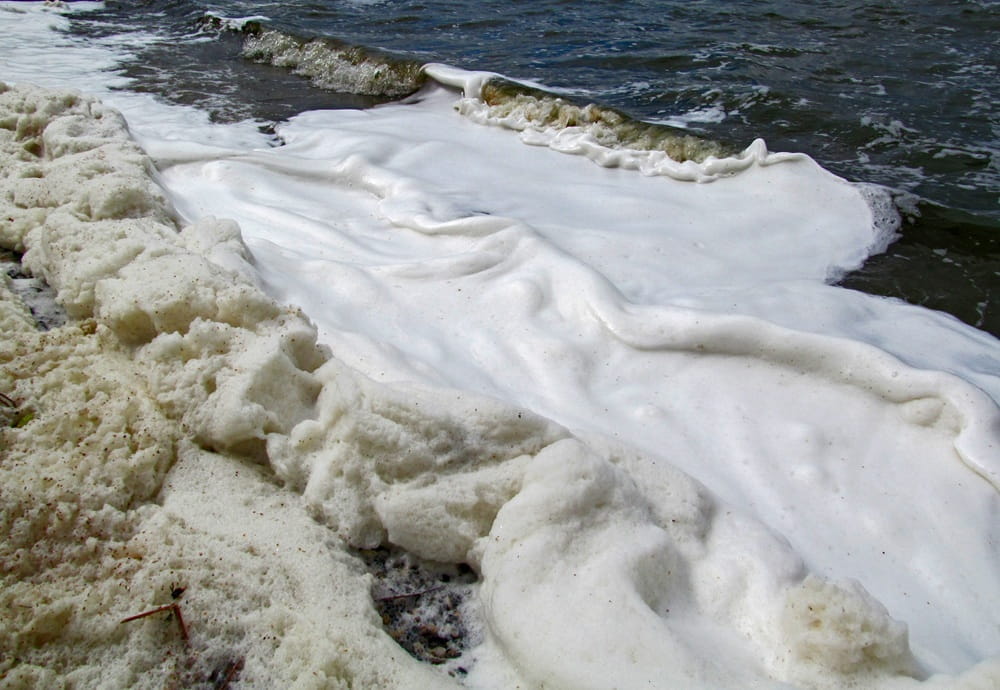 Foam on lake shore
