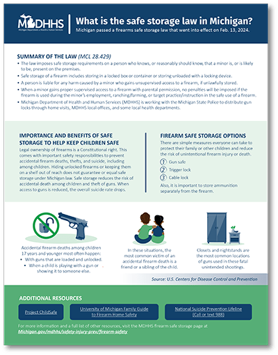 What is the safe storage law in Michigan? flyer