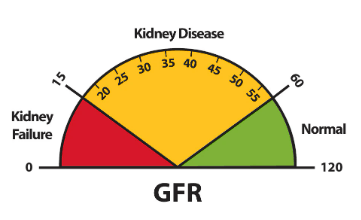 glomerular filtration rates (gfr) for normal function, kidney disease and kidney failure