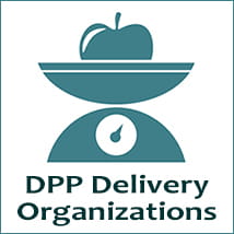 DPP delivery organizations