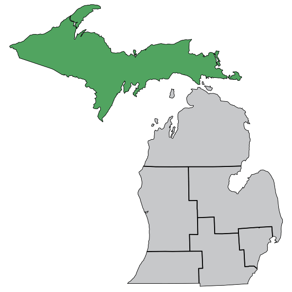 Superior Region