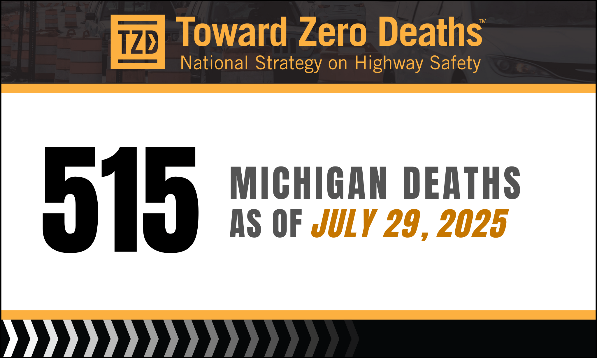 Graphic  displaying Fatality numbers for TZD