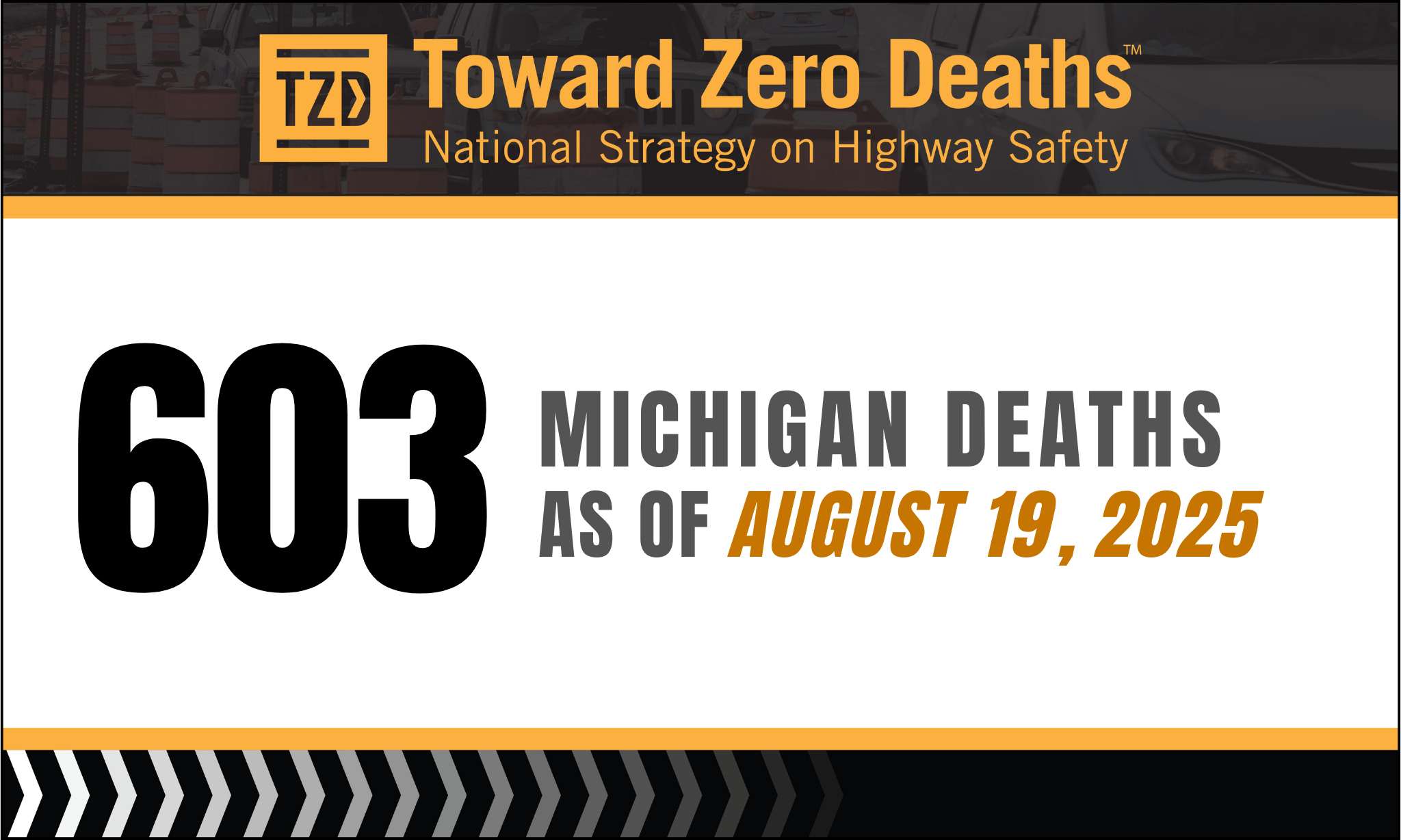 Graphic  displaying Fatality numbers for TZD