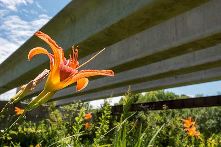 M-231 Road and Bridge Project. 