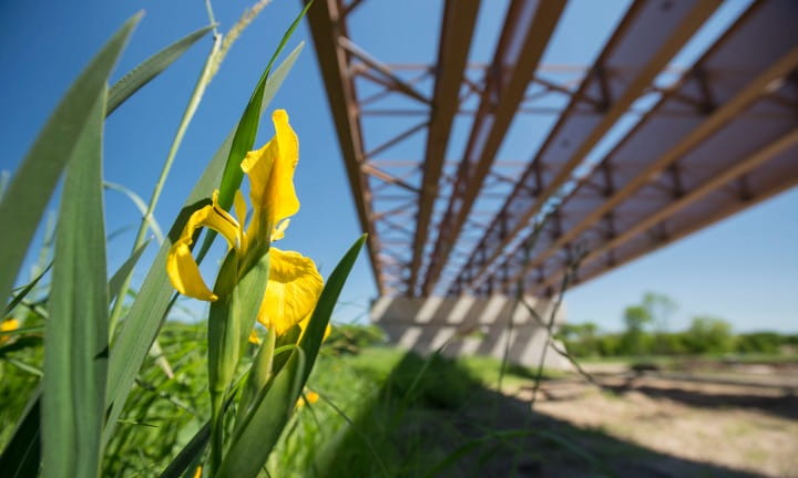 M-231 bridge located on the north side of the Grand River.