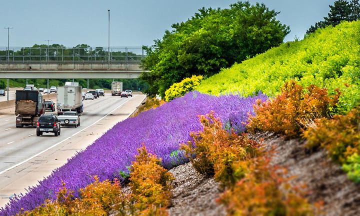 Landscape on North side of I-696.