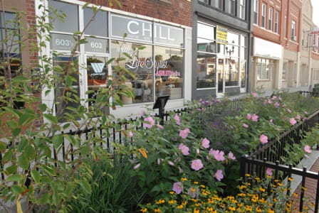 Rain Garden, East Lansing
