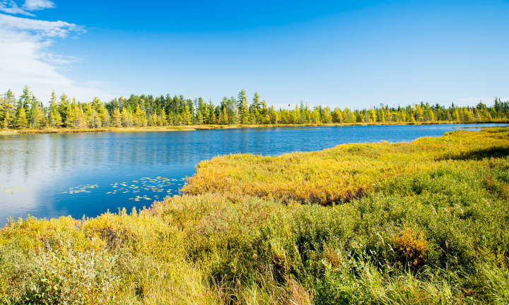 US-123 wetlands in Luce County.