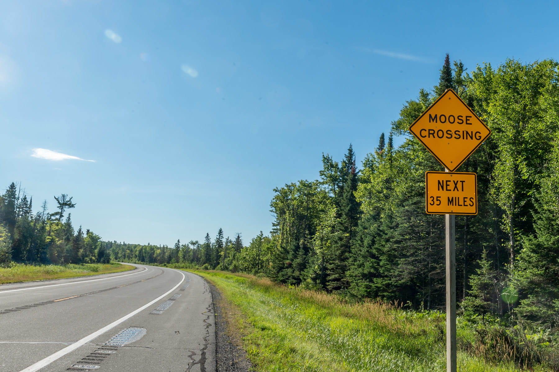 Moose crossing sign along a roadway.