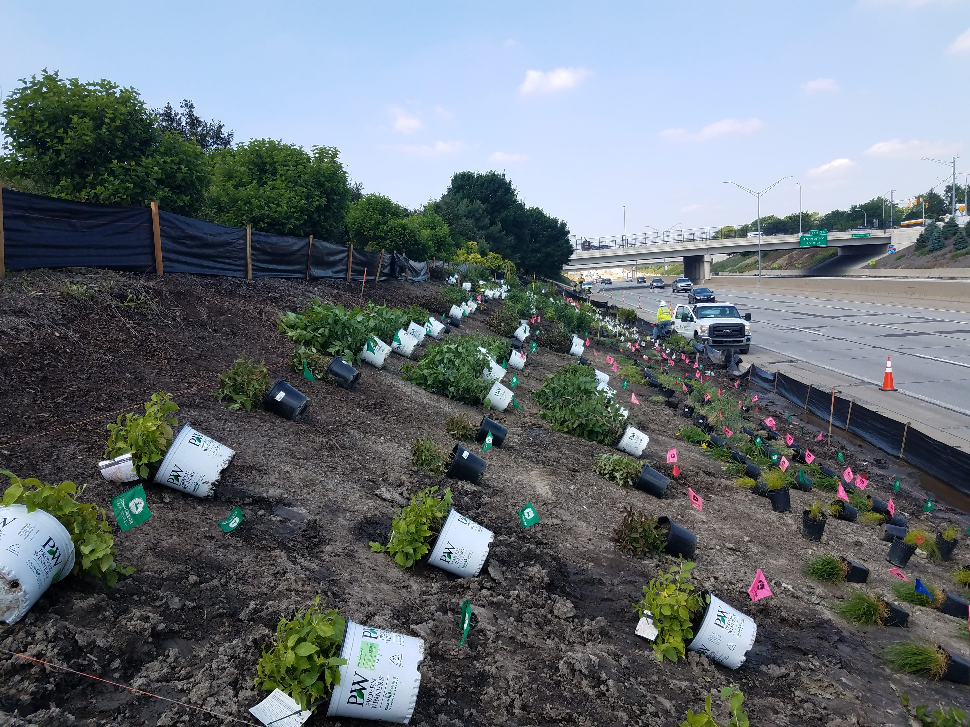 Potted plants are staged at the planting site on a large slope along I-696.