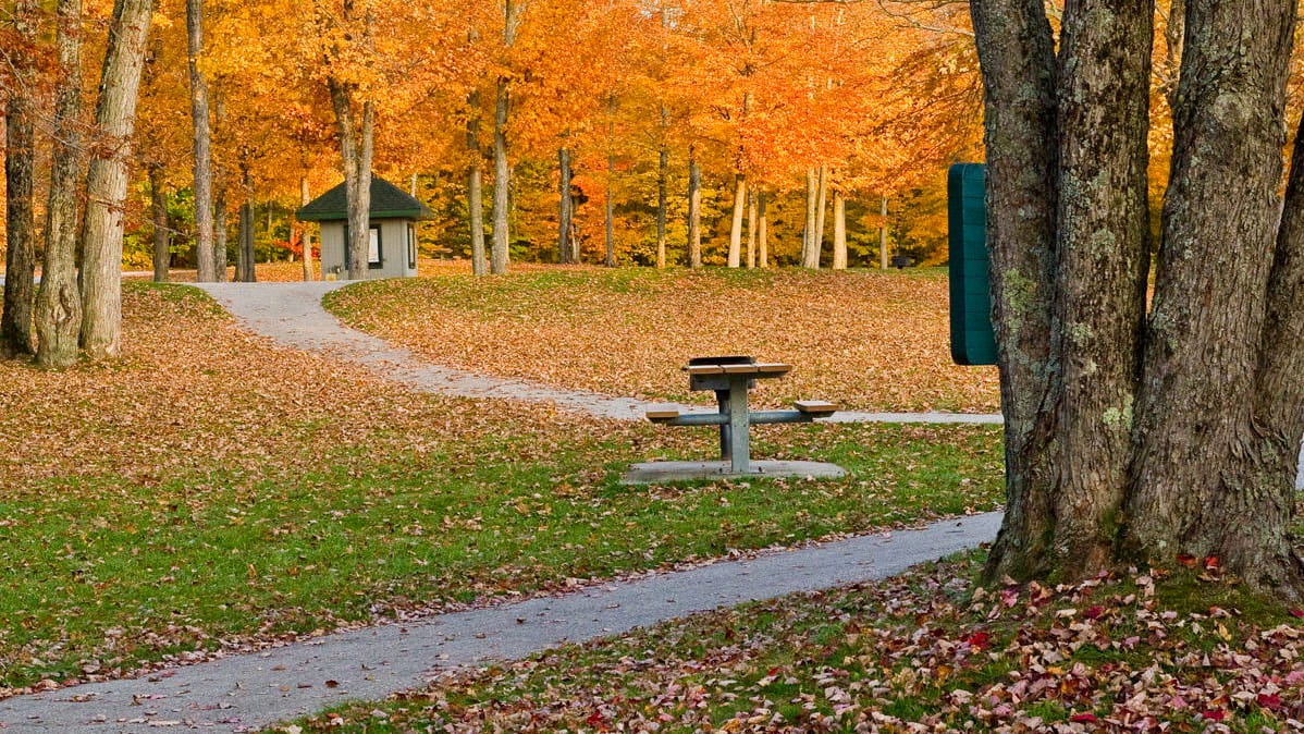 A beautiful autumn day with colorful yellow and orange leaves on the trees and ground at an MDOT rest area.
