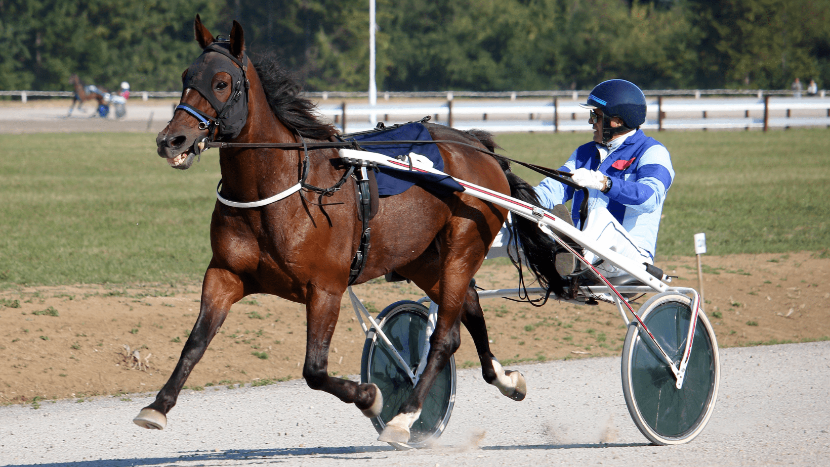 Harness racing