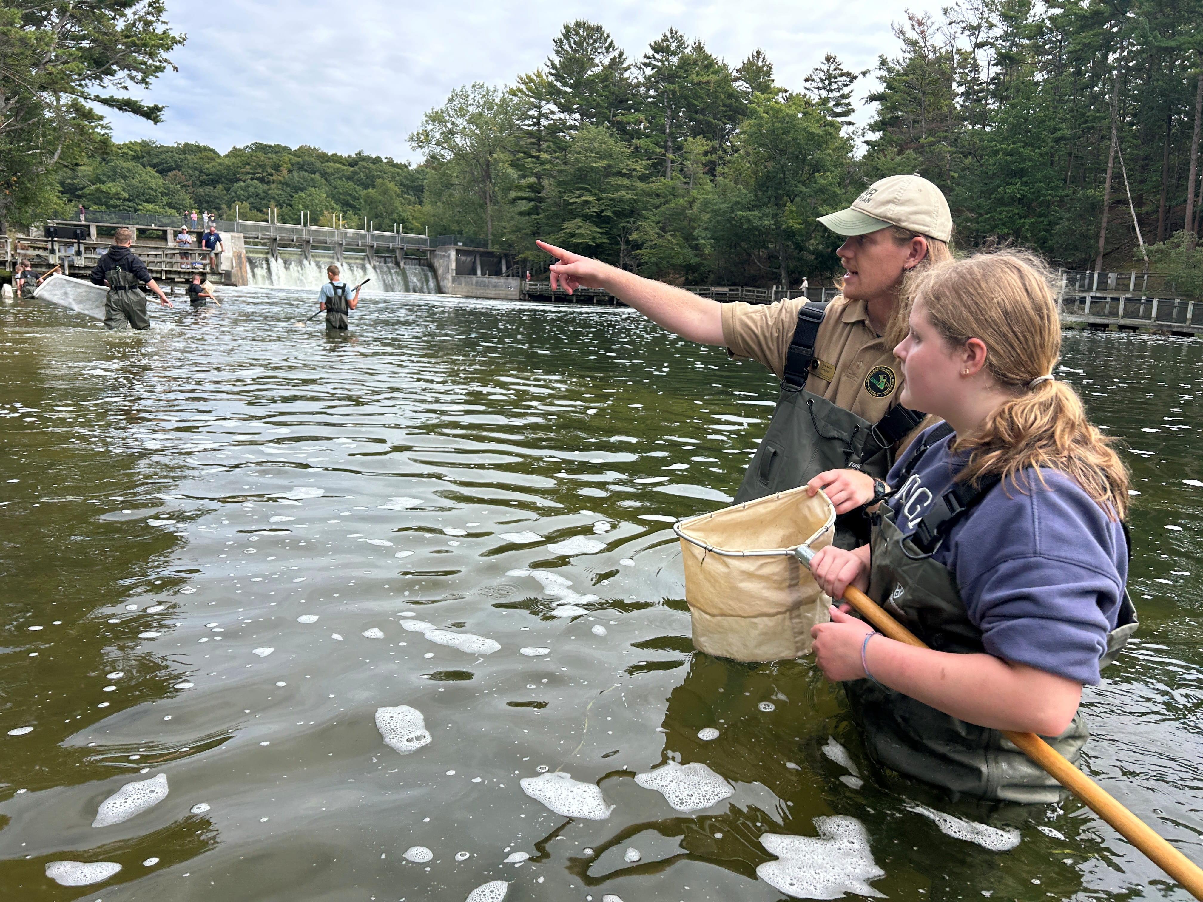 Ludington interpreter in waders, in river, helping students