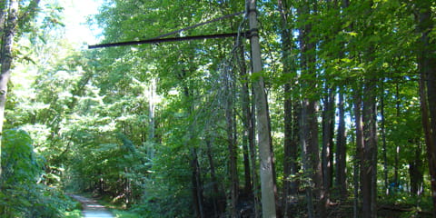 Weathered, vine-covered wood-and-metal railroad