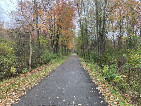 A paved trail passes through trees in autumn colors