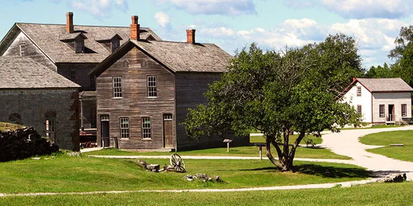 A weathered brown wooden building sites next to a large tree and grassy area.