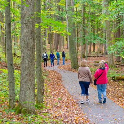 6 people walk a winding, paved trail through a forest in the autumn
