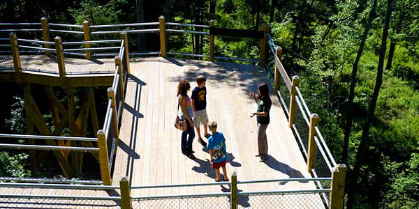 A woman speaks to a woman and two boys on an elevated wooden walkway and deck. 