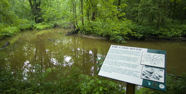 Cass River at Sanilac Petroglyphs.