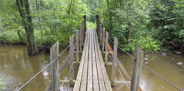 A wooden footbridge extends forward over a muddy brown river.