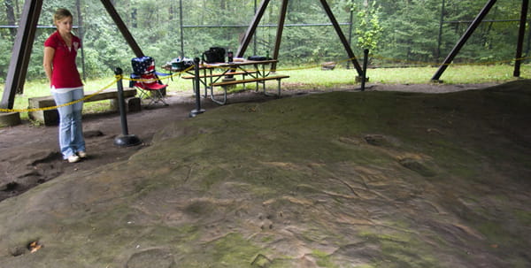 Woman standing at the edge of the outcropping at Sanilac Petroglyphs.
