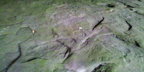 Spiral carvings on rock at Sanilac Petroglyphs.