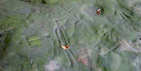 Native American carvings at Sanilac Petroglyphs; shows a human, birds, handprints.