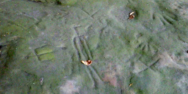 Native American carvings at Sanilac Petroglyphs; shows a human, birds, handprints.