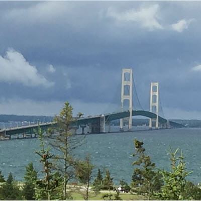 A large suspension bridge with two large towers in the distance on a cloudy day; a wooded park is in the foreground.