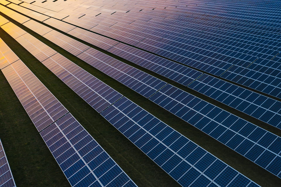 Rows of solar panels