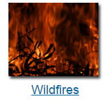 wildfires