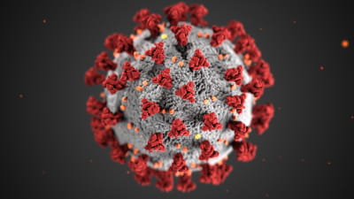COVID-19 Virus Picture