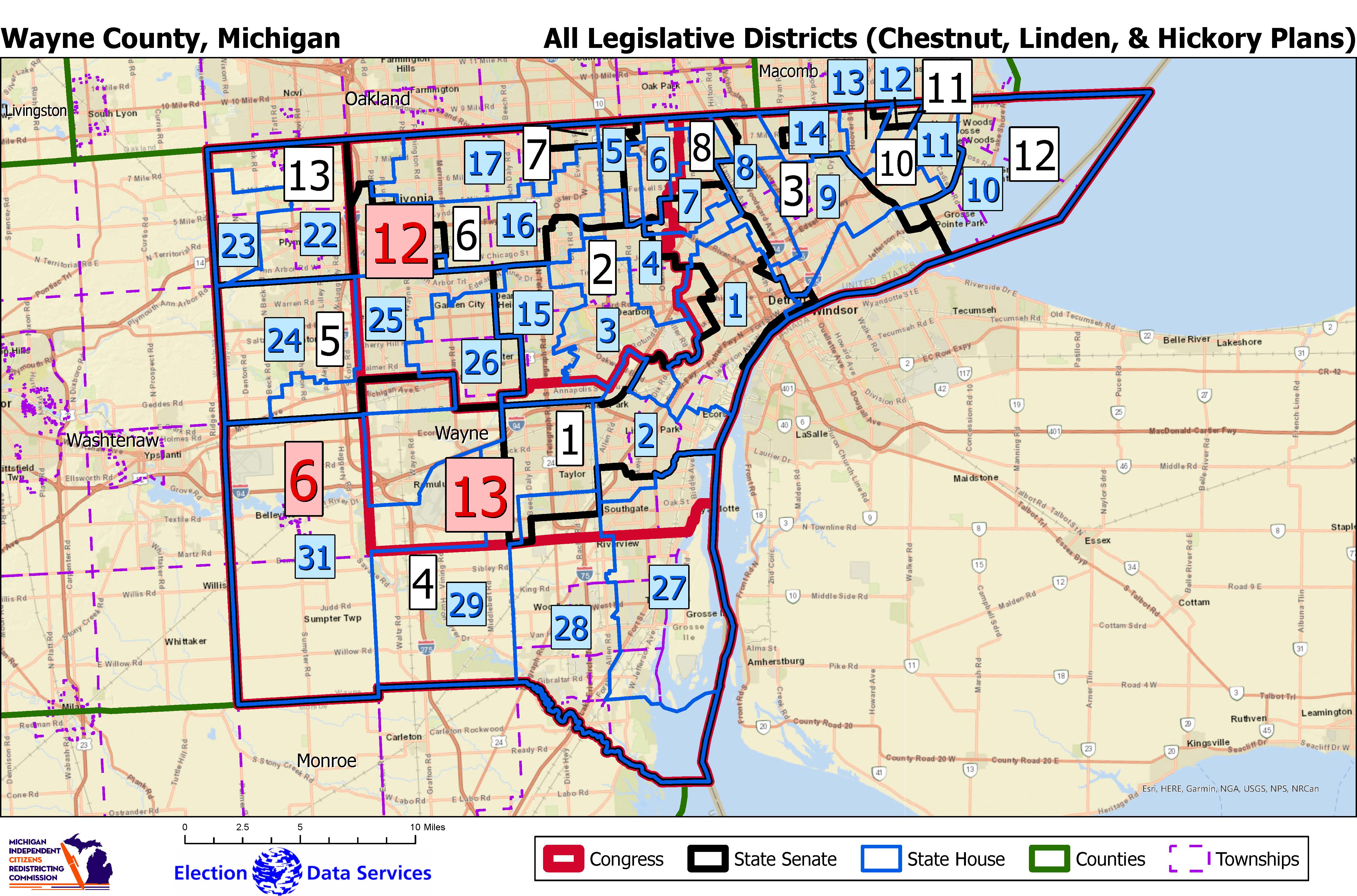 Detroit Documenters: Business marches on as officials step down