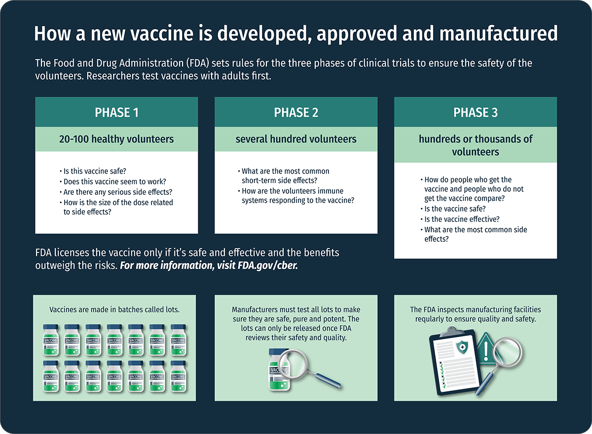 Vaccine development graphic