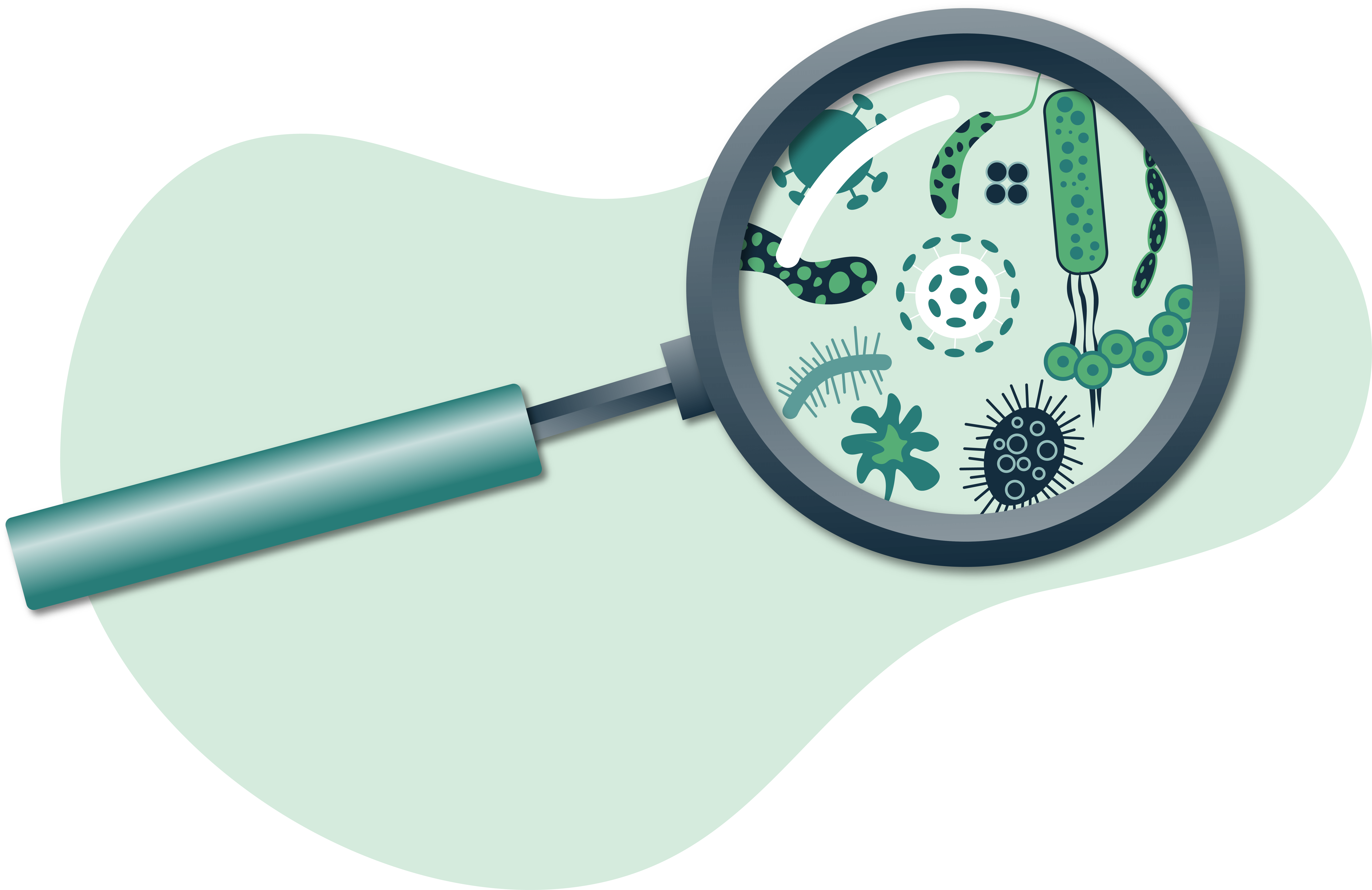 Magnifying Glass