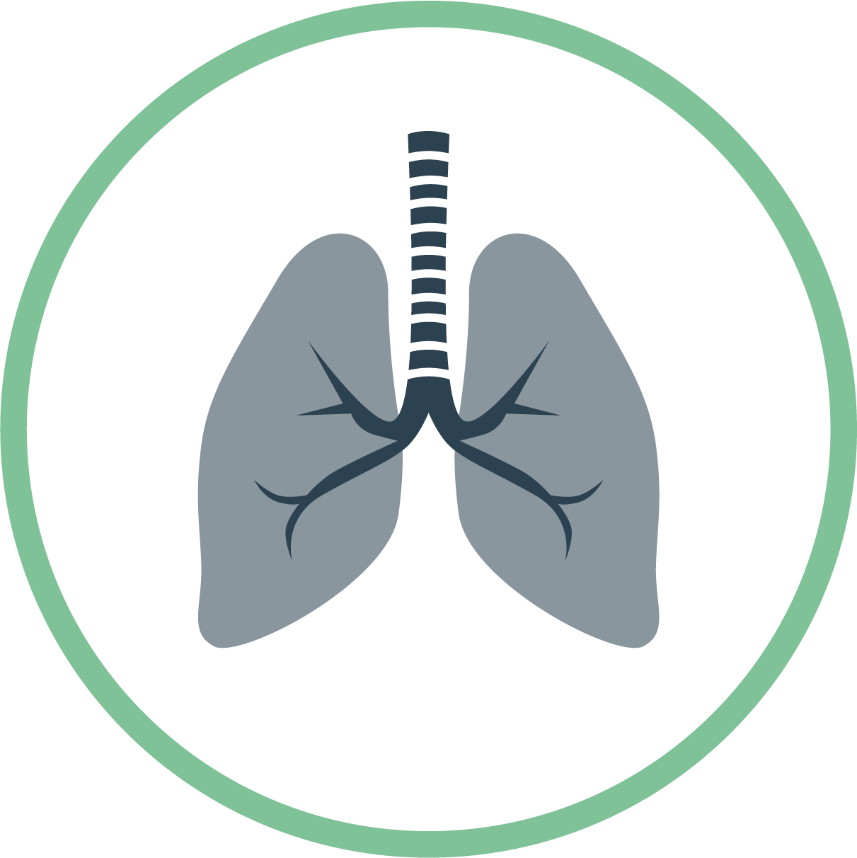 Lungs graphic