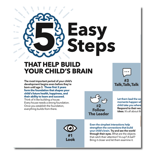 5 Easy Brain Building Steps 