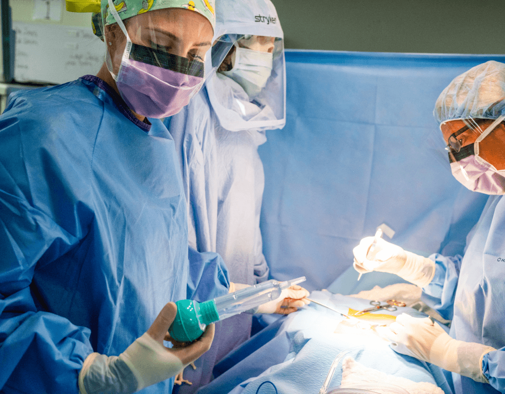 Surgery Tech students performing a mock surgery. 