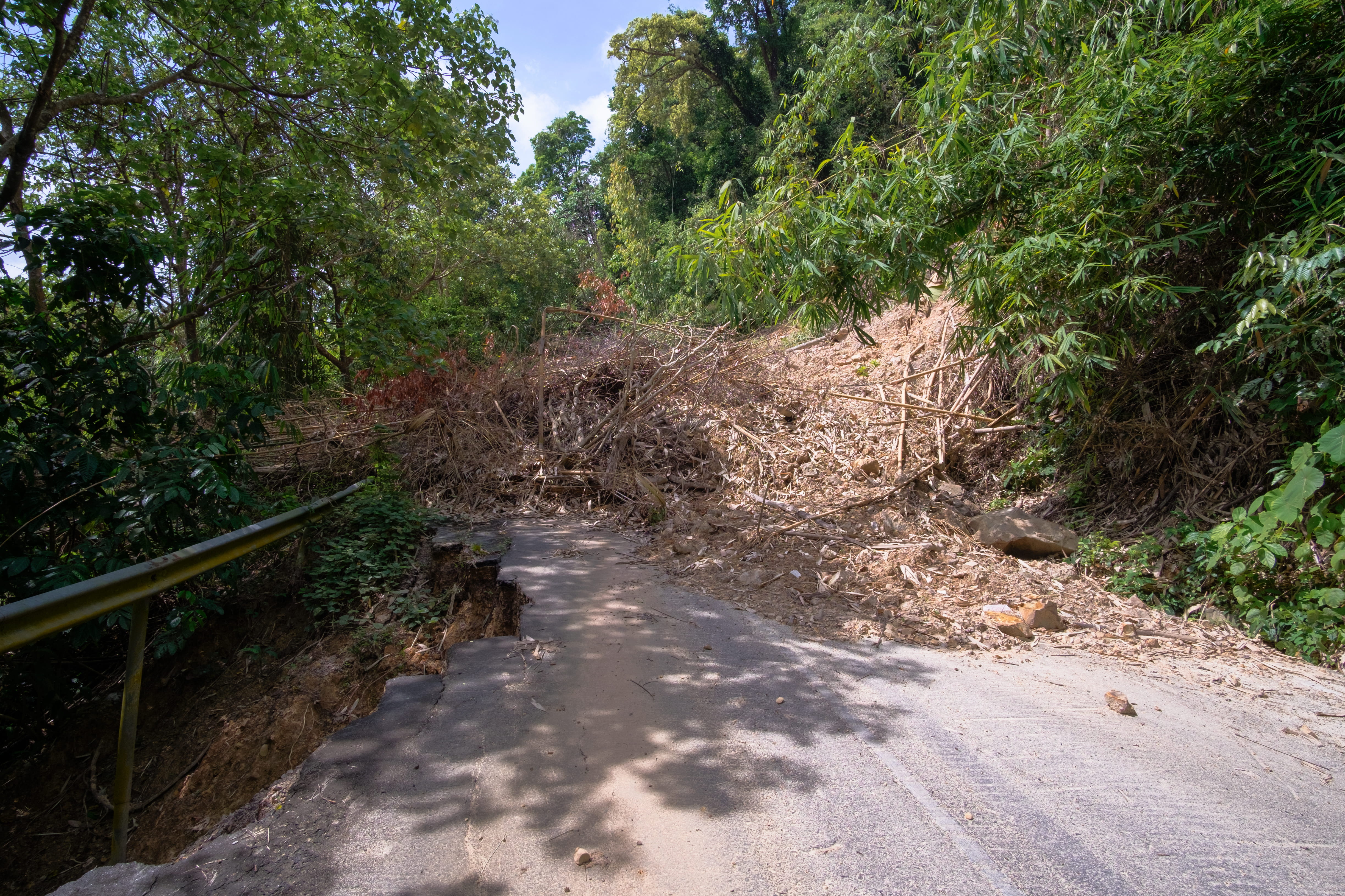 A road with trees on both sides and a railing on the left side with debris from a landslide blocking the road