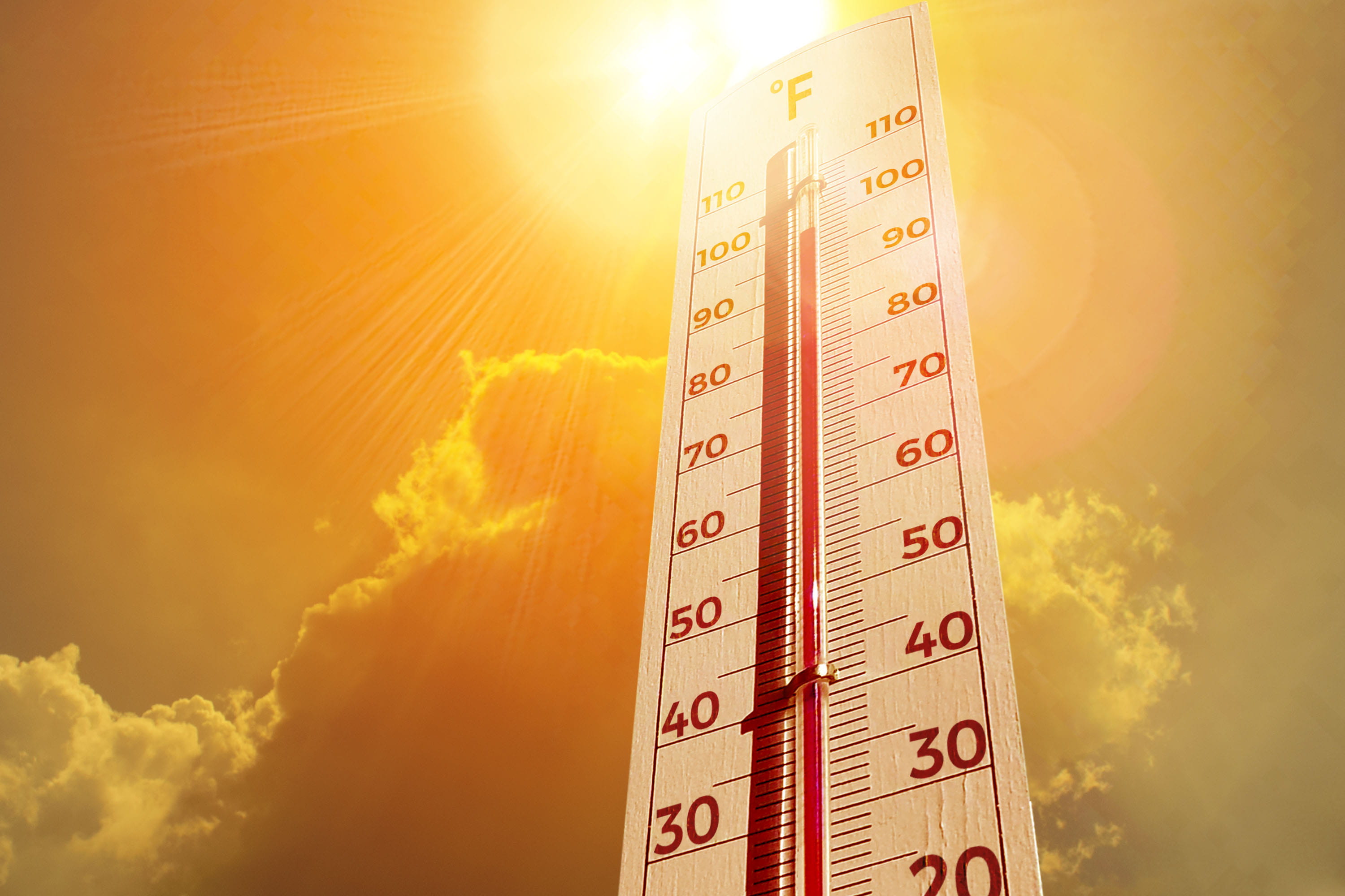 Extreme Heat New