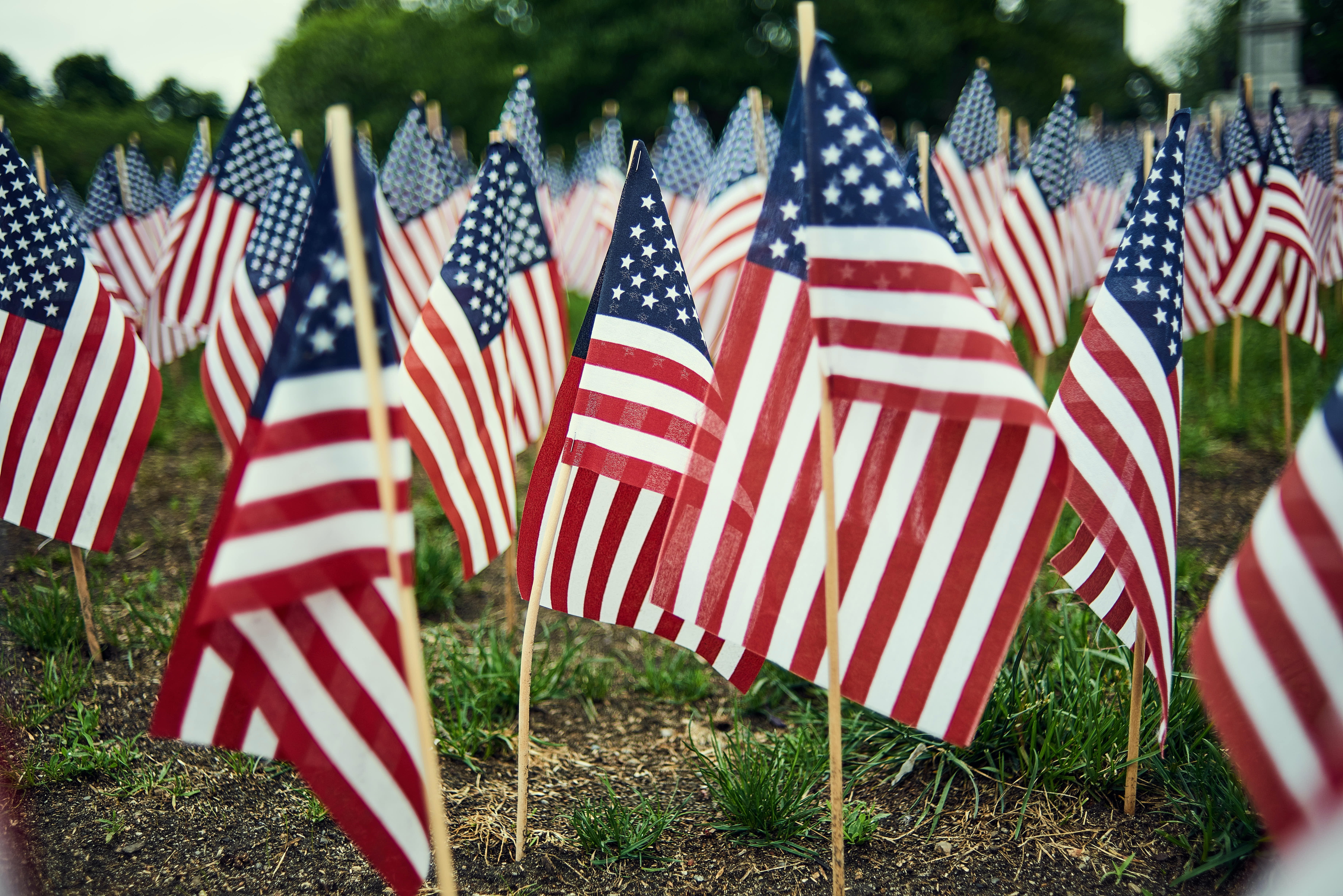 A photos of multiple American flags.