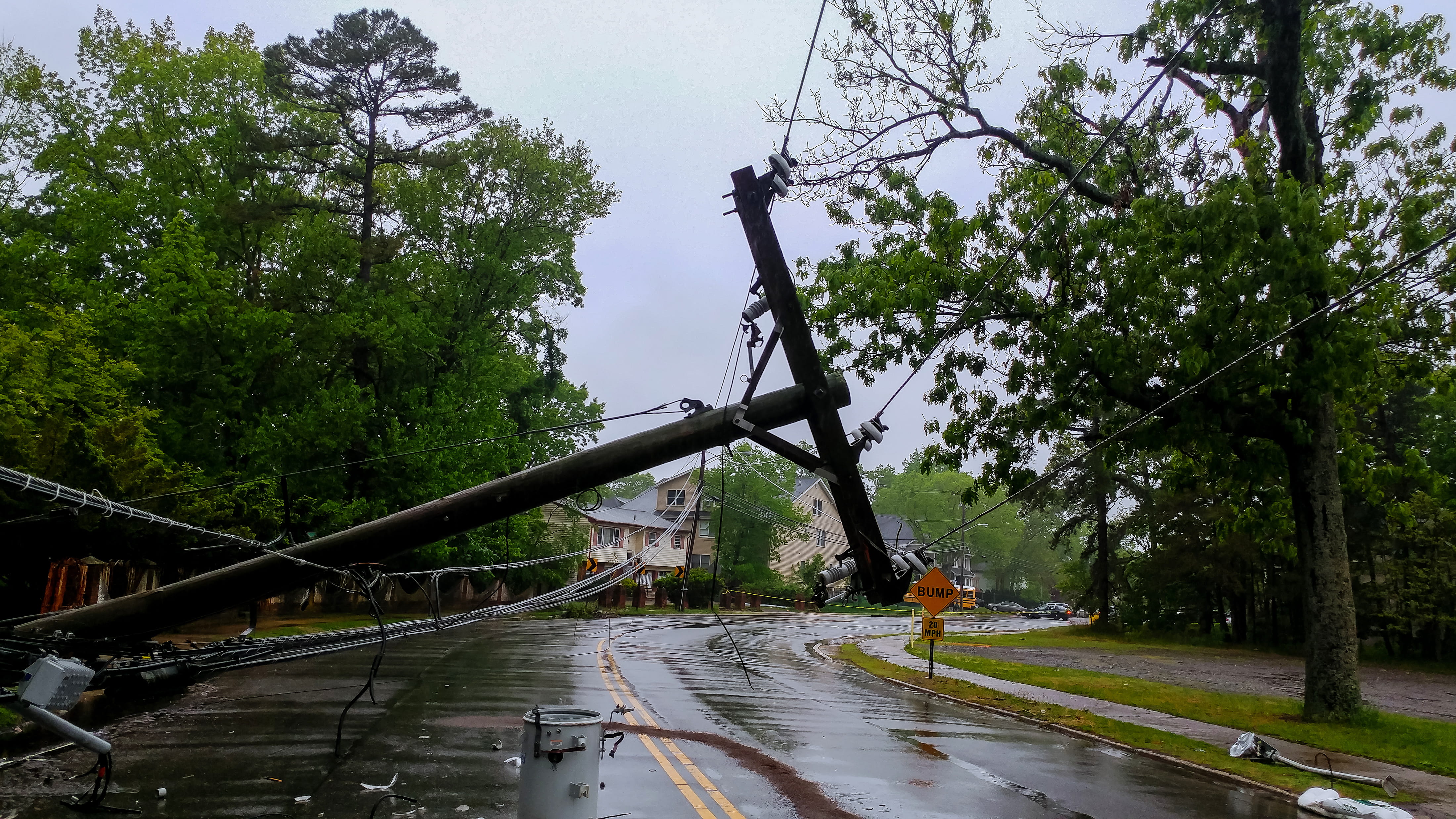transformer on a pole and a tree laying across power lines over a road