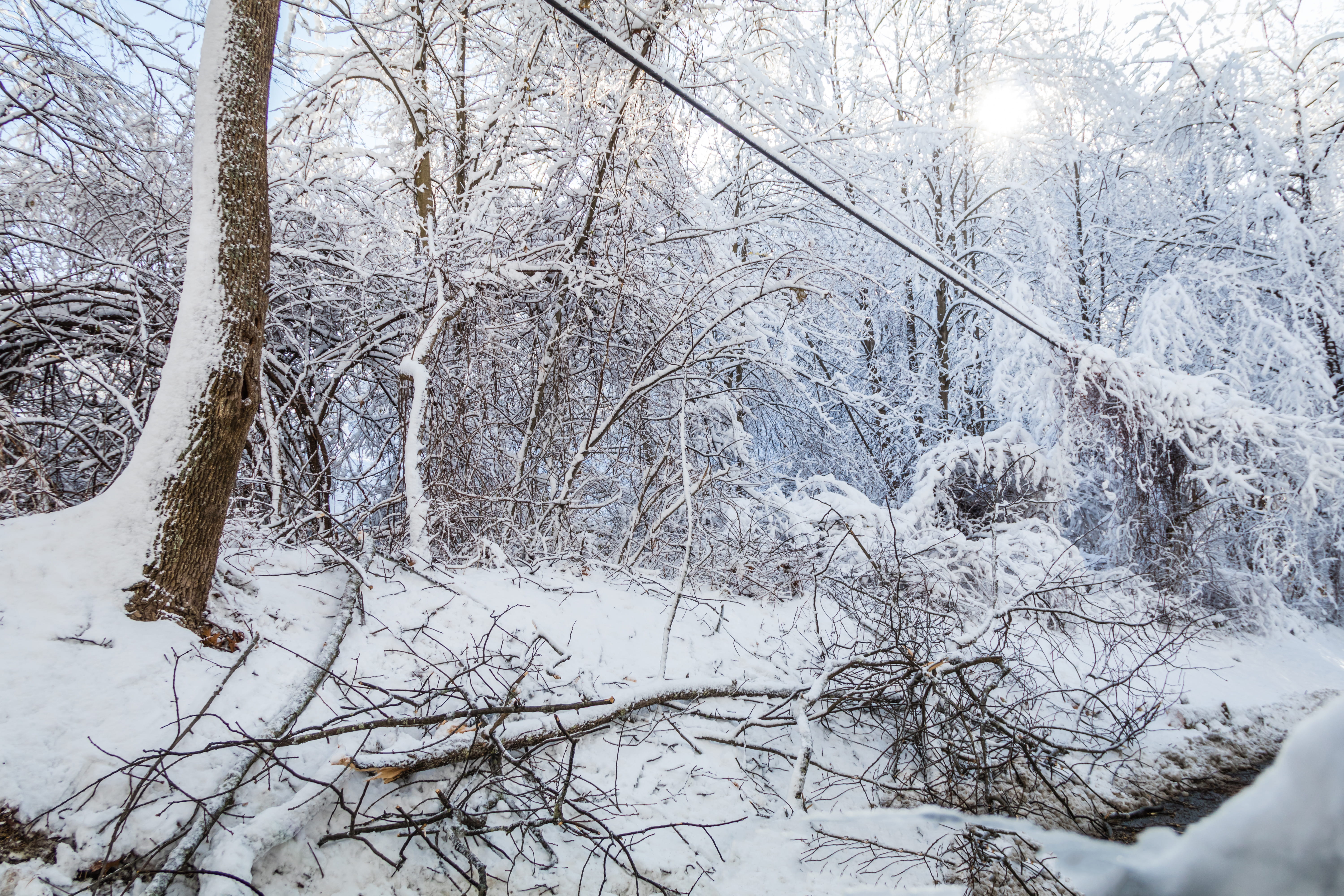 Downed power lines from ice and snow winter storm
