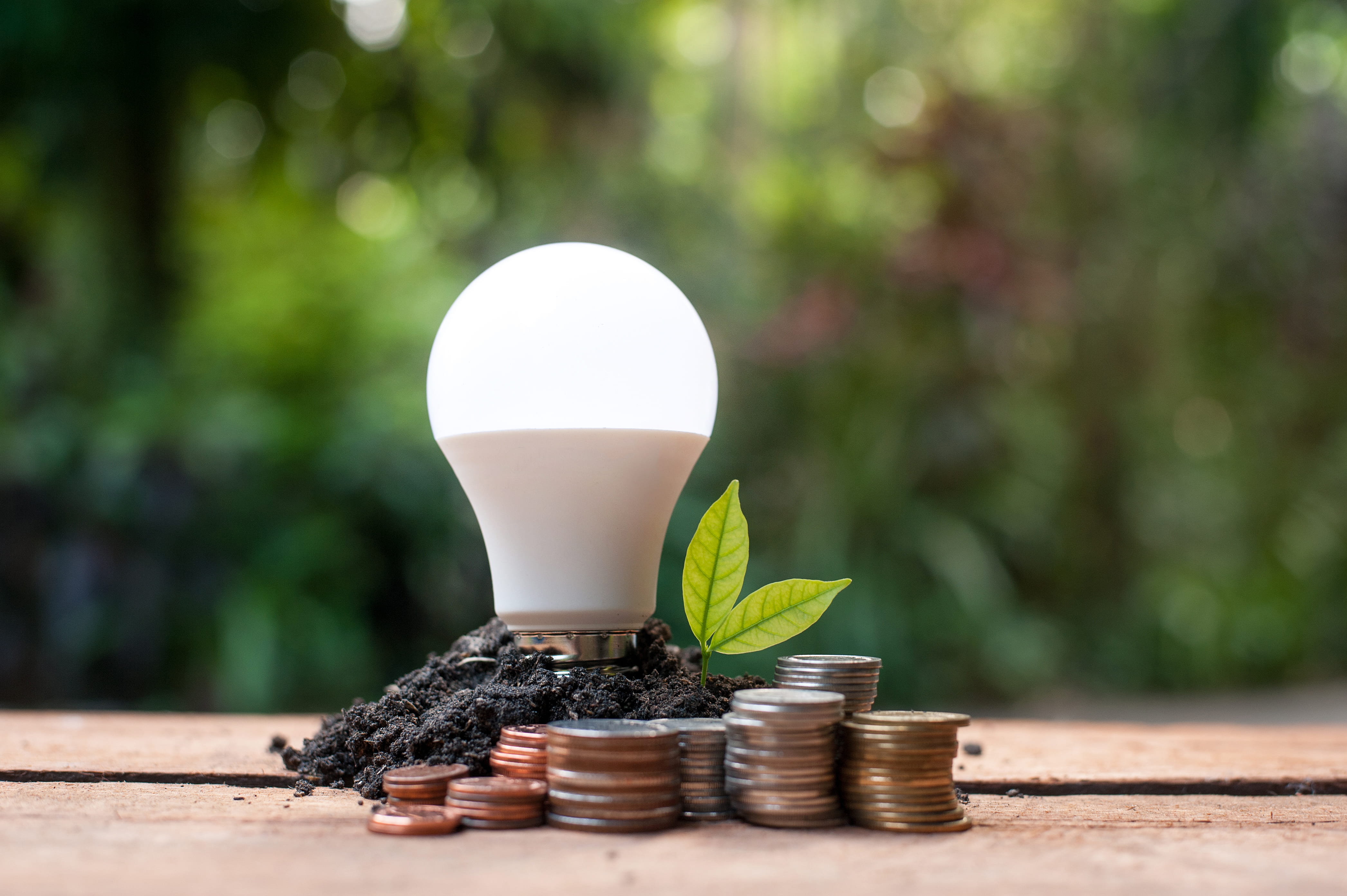 LED Bulb