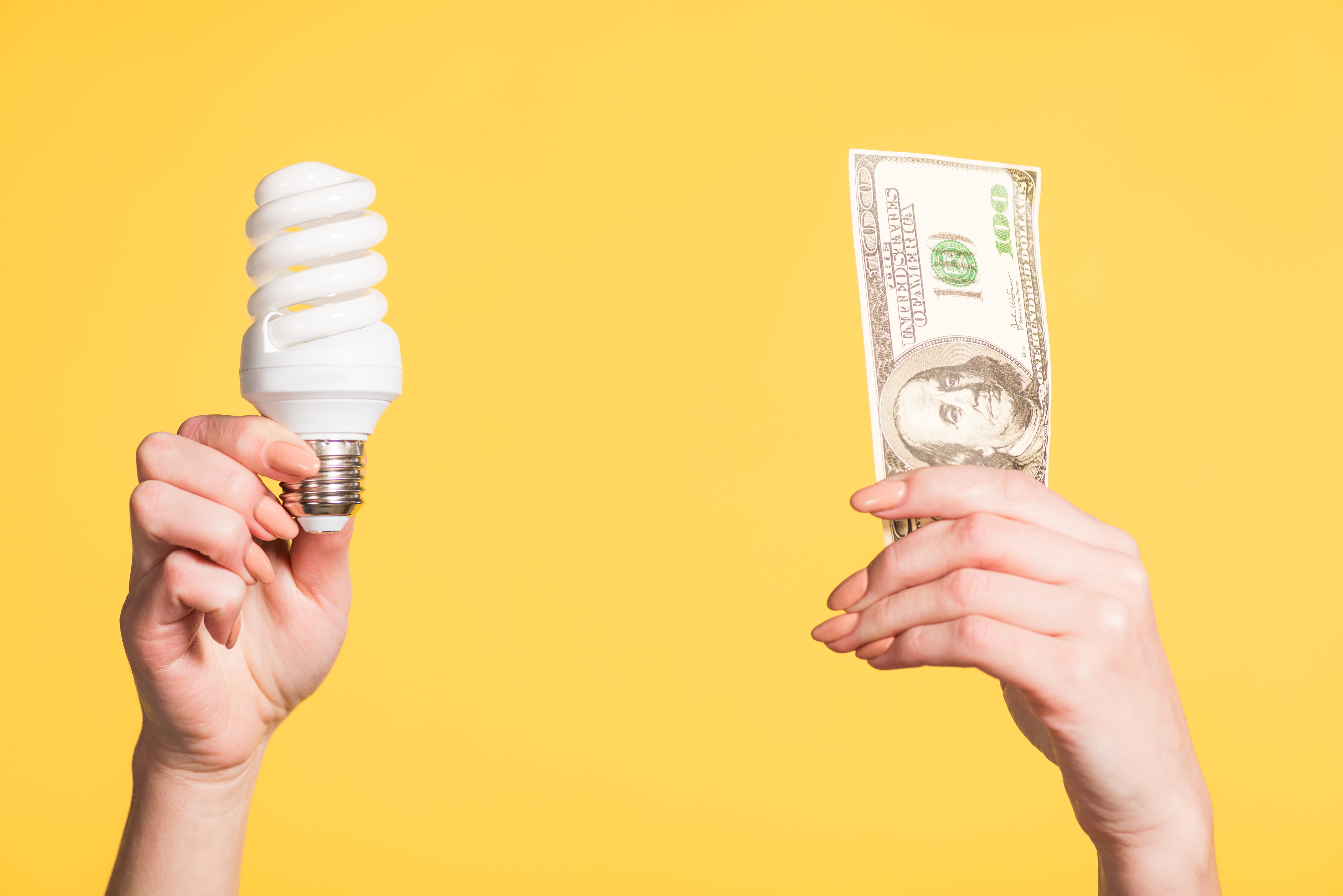cropped view of female hands holding fluorescent lamp and hundred dollar banknote in hands