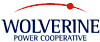 link to Wolverine Power Supply Cooperative home page