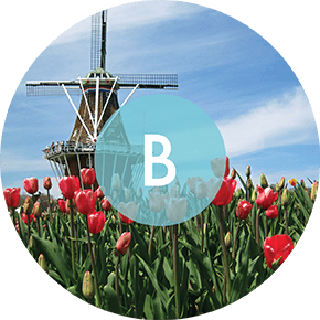 District B