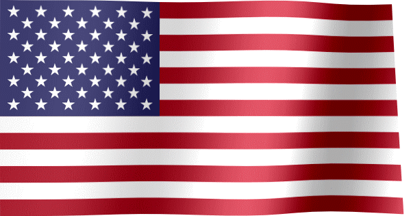 American Flag-Panel Image