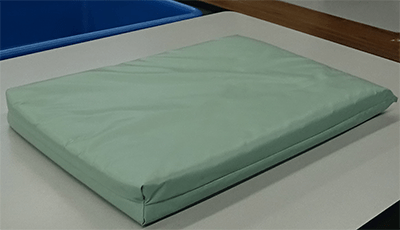 Leader Dog Bed Mattress